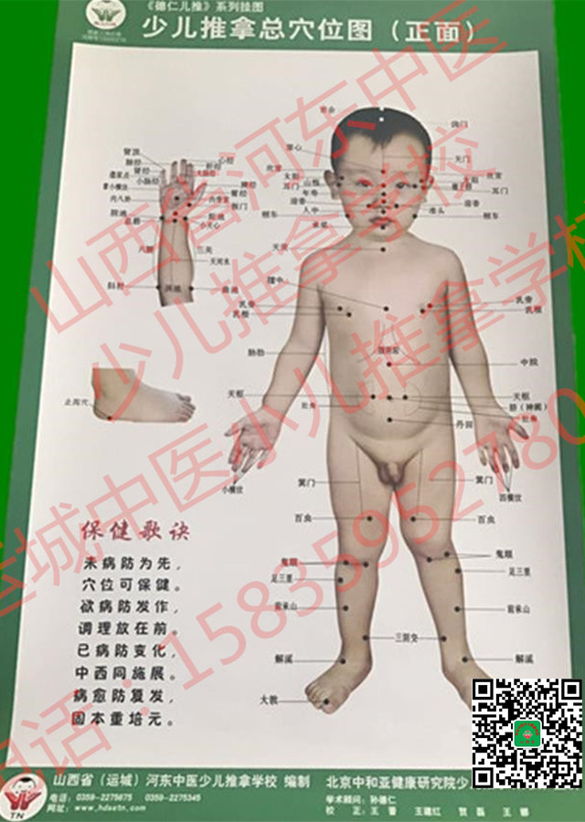 少儿推拿总穴位（正面）