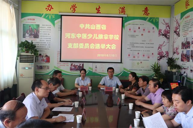 我校召开党支部委员会选举大会(图2)