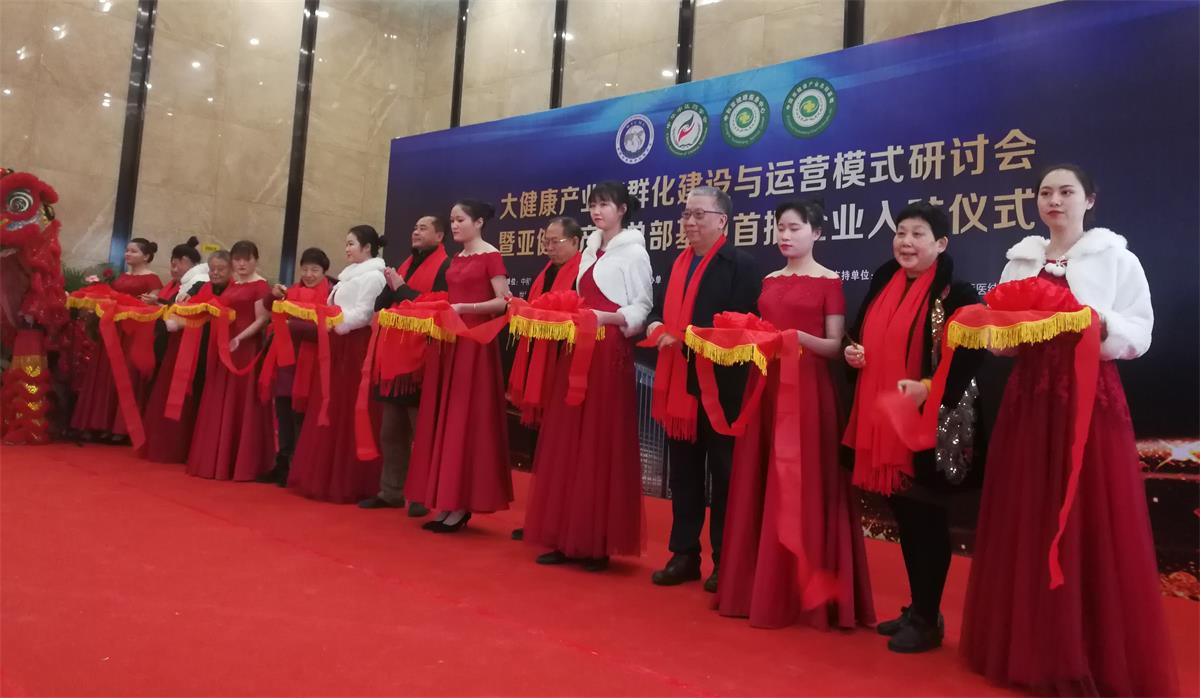 入驻亚健康产业基地 推动大健康产业建设—孙德仁校长大健康产业集群化建设和运营模式研讨会暨亚健康产业总部基地首批企业入驻仪式致辞(图3)